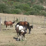 Monte Ricciu אלגהרו