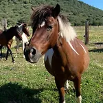 Πάρκο διακοπών Monte Ricciu Αλγκέρο