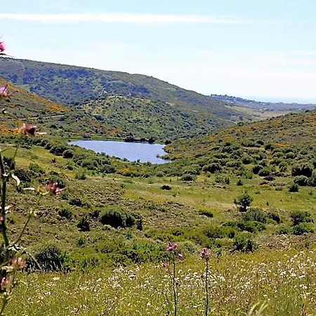 Monte Ricciu Nuova Gestione