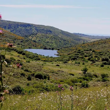 Üdülőpark Monte Ricciu