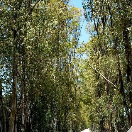 Üdülőpark Monte Ricciu Alghero
