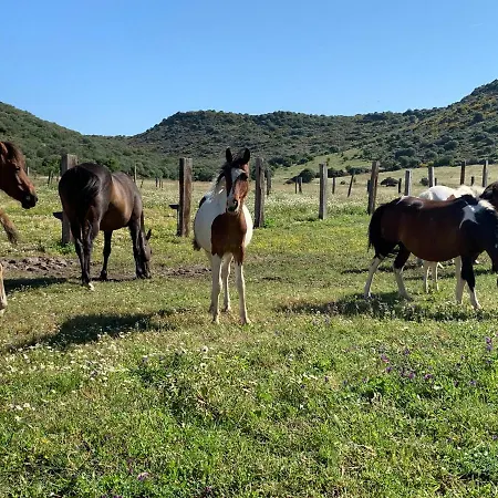 Aldeamento Turístico Monte Ricciu 3*