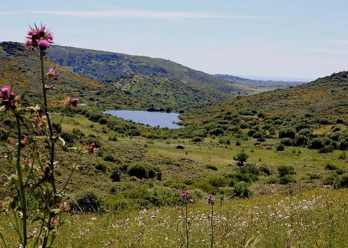 Aldeamento Turístico Monte Ricciu