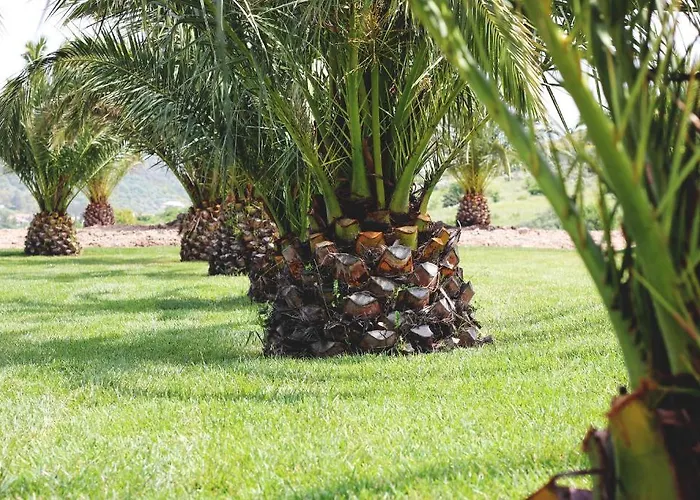 Aldeamento Turístico Monte Ricciu 3*