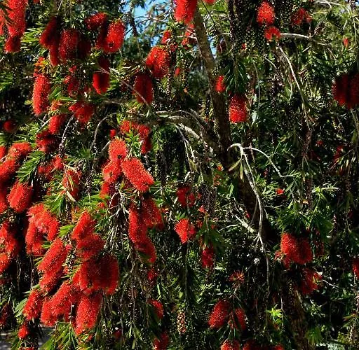 Monte Ricciu 3* Alghero