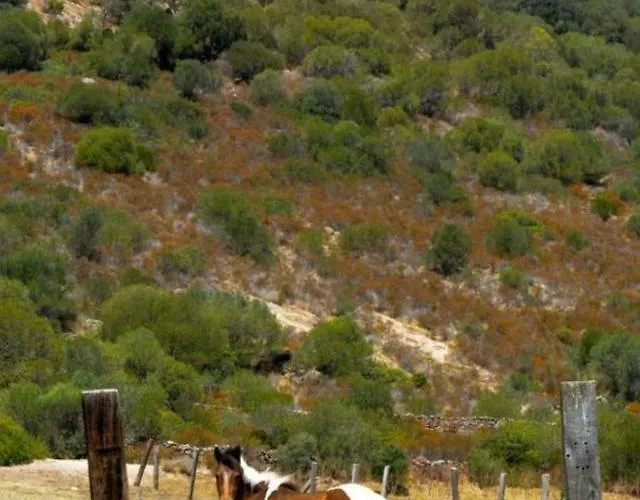 Monte Ricciu 3* Alghero