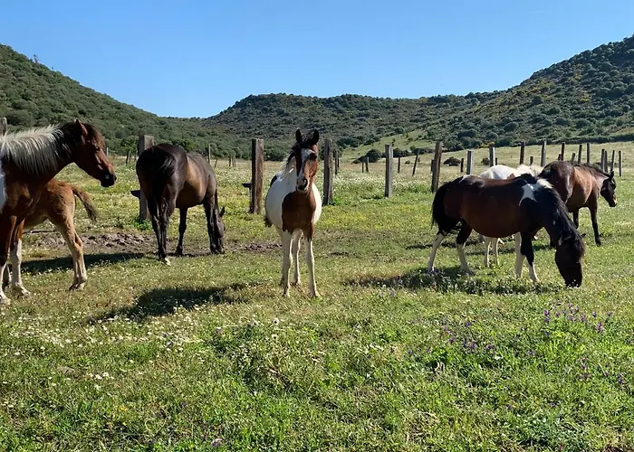 Aldeamento Turístico Monte Ricciu 3*