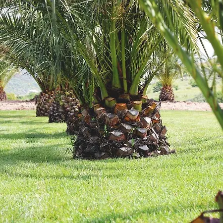 База отдыха Monte Ricciu 3*