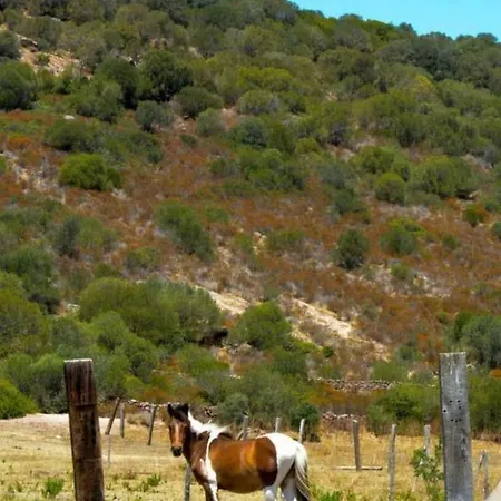 Monte Ricciu 3* Альгеро