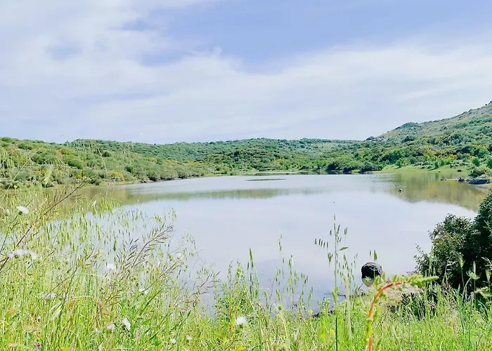 Monte Ricciu Tatil parkı